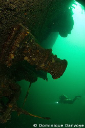 Diver swimming near the wreck of the Keystorm laying on 1... by Dominique Danvoye 